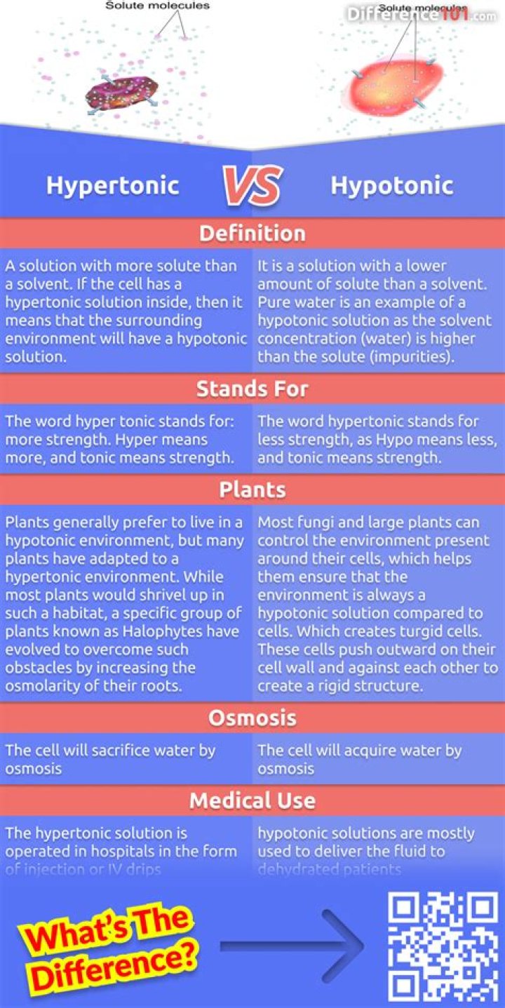 Are bacteria hypertonic or hypotonic?