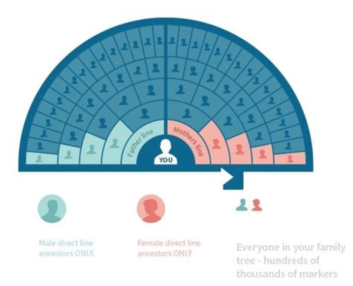 What regions does ancestry DNA cover?
